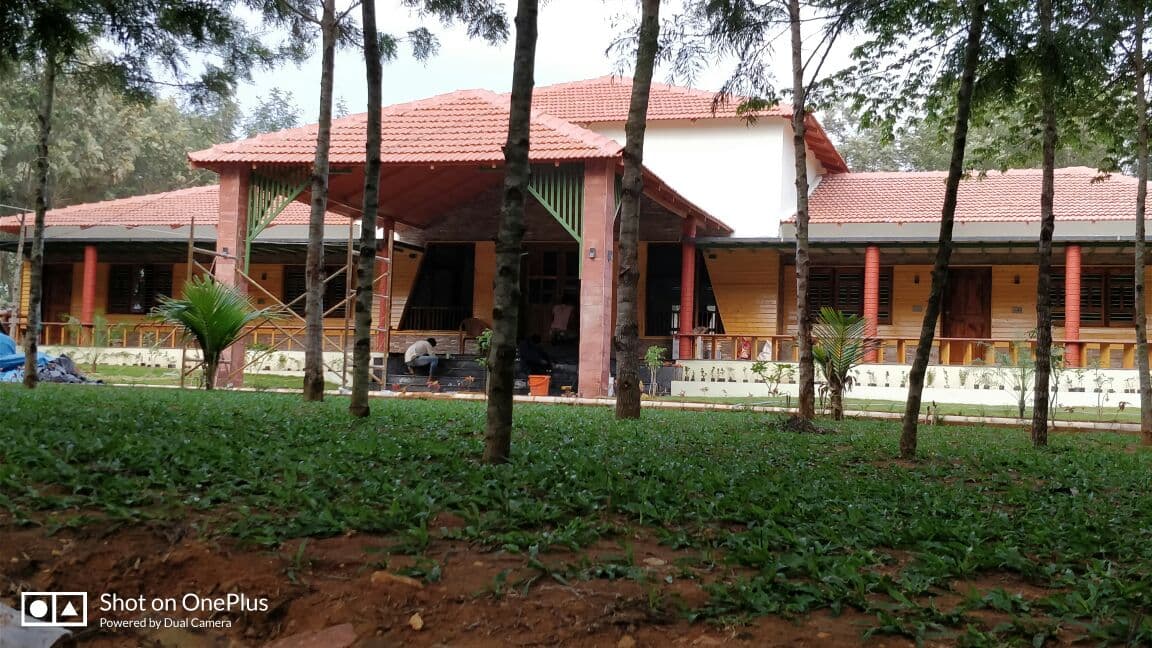 Resort cottages among tall trees