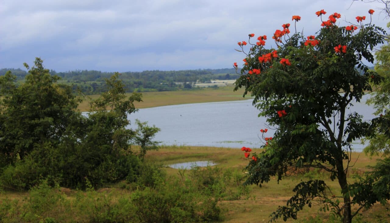 View across the lake and green surroundings