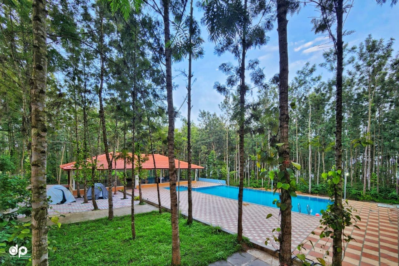 Swimming pool surrounded by tall trees at Waterview Holiday Retreat