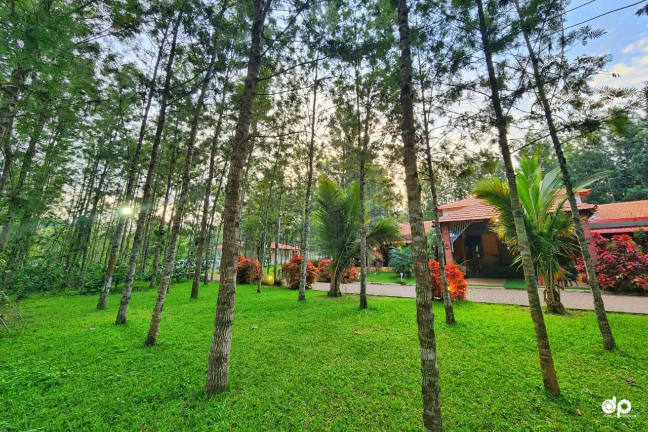 Garden cottages seen through the trees