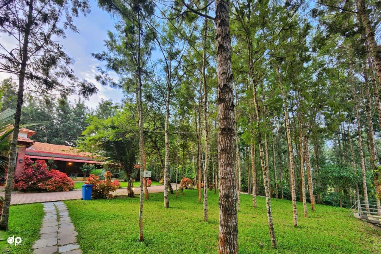 Green garden path through Waterview Holiday Retreat