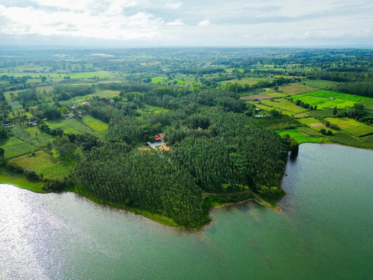 Aerial lakeside and forest view near the retreat